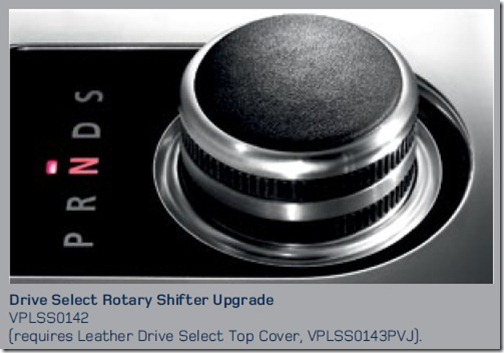 disco-leather-rotary